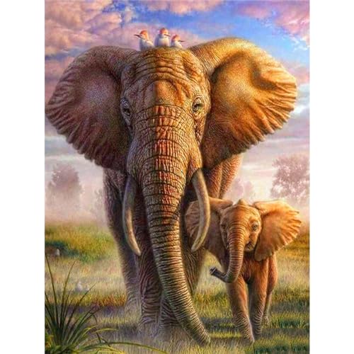 YIYUE 5D Diamond Painting Kits Bilder für Erwachsene, Elefant DIY Diamant Malerei Painting Bilder Set, Diamond Art Full Runder Malen Nach Zahlen Erwachsene Set (35x45cm), Nr. 11 von YIYUE