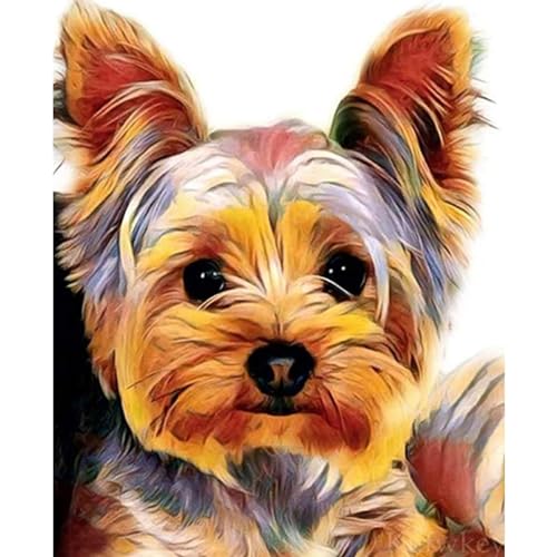 YIYUE 5D Diamond Painting Kits Bilder für Erwachsene, Hund DIY Diamant Malerei Painting Bilder Set, Diamond Art Full Runder Malen Nach Zahlen Erwachsene Set (35x45cm), Nr. 12 von YIYUE