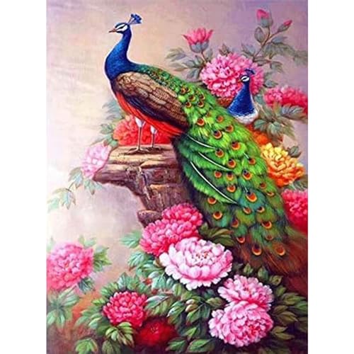 YIYUE 5D Diamond Painting Kits Bilder für Erwachsene, Pfau Peacock DIY Diamant Malerei Painting Bilder Set, Diamond Art Full Runder Malen Nach Zahlen Erwachsene Set (35x45cm), Nr. 2 von YIYUE