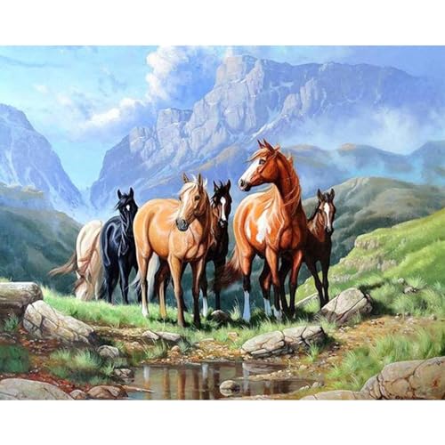 YIYUE 5D Diamond Painting Kits Bilder für Erwachsene, Pferd DIY Diamant Malerei Painting Bilder Set, Diamond Art Full Runder Malen Nach Zahlen Erwachsene Set (35x45cm), Nr. 2 von YIYUE