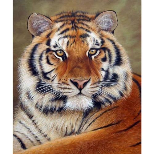 YIYUE 5D Diamond Painting Kits Bilder für Erwachsene, Tiger DIY Diamant Malerei Painting Bilder Set, Diamond Art Full Runder Malen Nach Zahlen Erwachsene Set (35x45cm), Nr. 2 von YIYUE