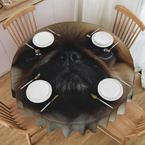 YKLJG Niedliche Pekinese-bedruckte runde Tischdecke, 152 cm Durchmesser, wasserdichte Stoff-Tischdecke, dekorative Tischdecke mit Spitzenrand, für Essen/Party/Buffet/Hochzeit von YKLJG