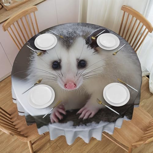 YKLJG Opossum im Schnee bedruckte runde Tischdecke, 152 cm Durchmesser, wasserdichte Stoff-Tischdecke, dekorative Tischdecke mit Spitzenrand, für Essen/Party/Buffet/Hochzeit von YKLJG