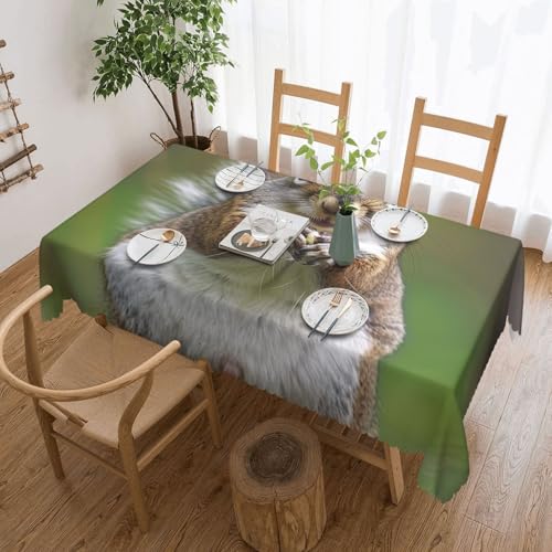 YKLJG Rechteckige Tischdecke mit Eichhörnchen-Motiv, wasserdicht, mit Spitzenrand, für Essen, Party, Buffet, Hochzeit, 183 x 137 cm, Rot von YKLJG