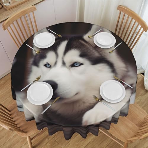 YKLJG Runde Tischdecke mit niedlichem Husky-Hund, bedruckt, 152 cm Durchmesser, wasserdichte Stoff-Tischdecke, dekorative Tischdecke mit Spitzenrand, für Essen/Party/Buffet/Hochzeit von YKLJG