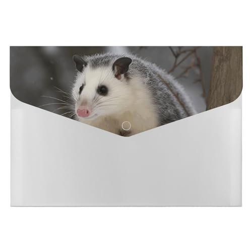 YKUDBN XB0608021 Aktenordner, Opossum in Schnee, dekorative Aktenordner, Aktenordner für Zuhause, Arbeit, Büro, Organizer von YKUDBN