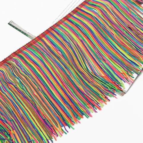 2/5 Meter 20 cm lange Quaste Fransenbesatz Spitzenband Lateinischer Tanz Kleid Kleidung Vorhang Fransen Stoff Nähbesatz Zubehör-2 Meter-farbig von YLREAN