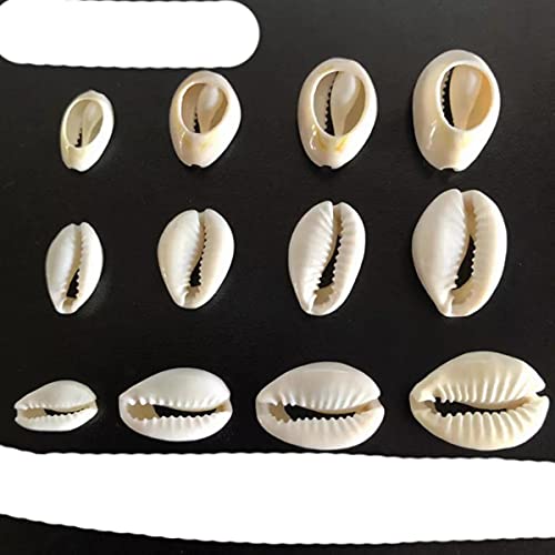 50Pcs White Sea Shell Perlen für Schmuckherstellung Charm Beads DIY Halskette Armband Zubehör Schmuckzubehör-Beige Weiß, 1,8-1,9 cm von YOENYSDFLI