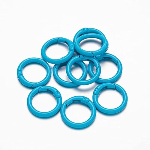 5 Stück O-Ring-Federverschlüsse, zu öffnen, runder Karabiner, Schlüsselanhänger, Ring, Verbinder, Taschenclips, Haken, Hundekettenschnallen, DIY-Schmuckherstellung, himmelblau, Außengröße 25 mm von YOGAES