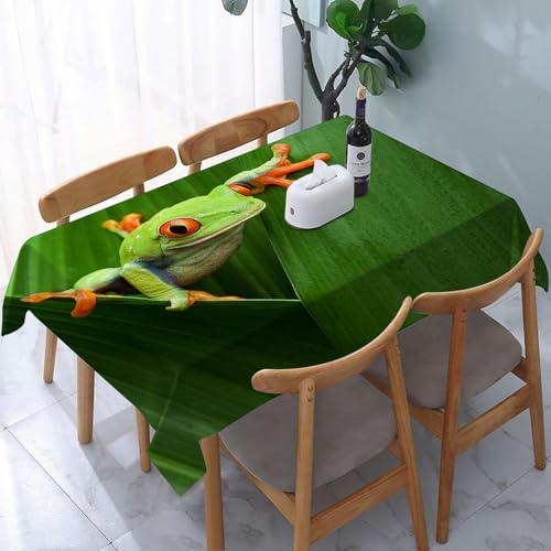 YOIUE Tischdecke Abwaschbar Rechteckig,137x183cm,Polyester Tischtuch Tafeldecke Ornamente Schmutzabweisend Pflegeleicht,Wildlife Laubfrosch liegt auf unbekannter Vegetation von YOIUE