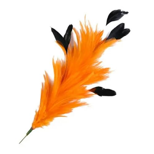 1 Stück gefärbte, bunte, natürliche Gänseblumenfedern zum Basteln, für Partys, Kopfschmuck, Dekoration, Orange, 25–30 cm von YOLNEY