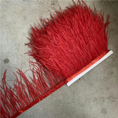 10 Yards 10–15 cm/4–6 Zoll breites Straußenfederband mit Fransenbesatz für Kostümdekoration, Nähhandwerk, rot, 5 Yards von YOLNEY