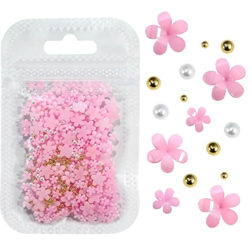 1000 Stück rosa Blüten Frühling Acrylblumen-Strasssteine für Nägel, gemischte Perlen, 3D-Blumen-Nagel-Edelsteine, Kunstharz-Nagelteile-ZCF149-10 von YOLNEY