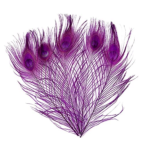 10 Stücke Färben Pfau Federn for Handwerk Länge 10-12 Zoll DIY Schmuck Dekorative Fasan Federn(Purple Red) von YOPI