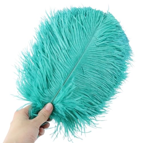 10 Stücke Natürliche Schwarze Straußenfedern for Handwerk Hochzeit Hause Dekoration Party Straußenfedern Mittelpunkt(Peacock green,25-30CM) von YOPI