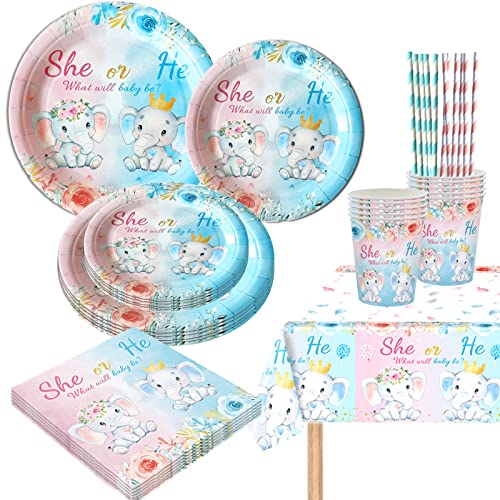 YOUYIKE Baby Shower Gender Reveal Pappteller, 10 Gäste Gender Reveal Party Deko Geschirr Set, Gender Reveal Partygeschirr Pappbecher Servietten Papier Strohhalme für Babyparty, Boy or Girl Deko von YOUYIKE