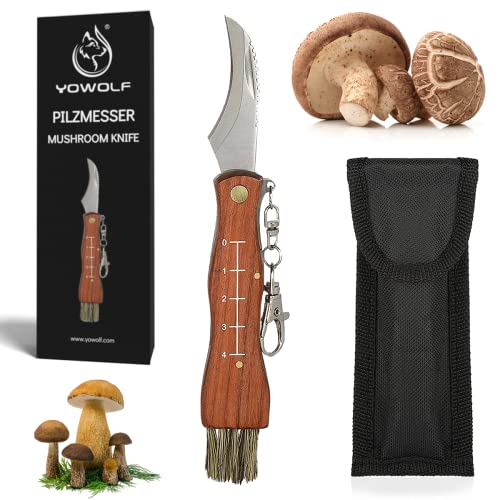 YOWOLF Pilzmesser mit Bürste und Lineal Premium Champignon Taschenmesser aus Rostfreiem Edelstahl Hochwertiges Trüffel Taschenmesser mit Schlüsselring Schwammerlmesser Klappmesser Messer mit Tasche von YOWOLF