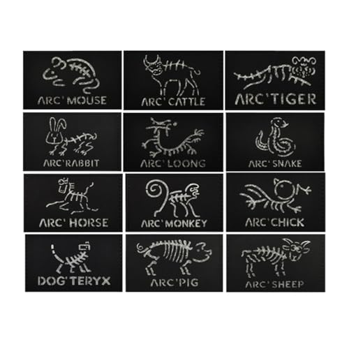 Zodiac Reflektor-Patches, taktischer Outdoor-Aufnäher, reflektierende Moral-Patches für Rucksack, Helm, Weste, Armband – 12 Stück von YOYUMI