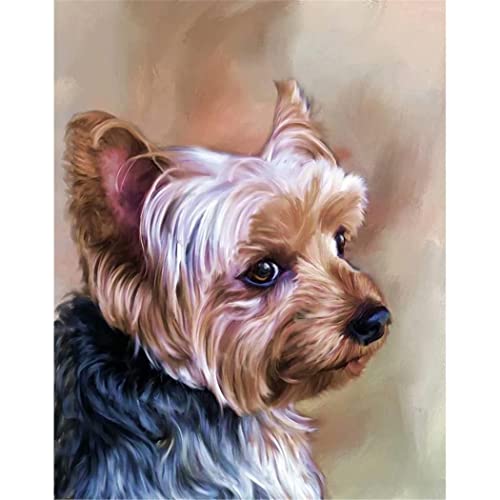 YSCOLOR Itnquc Malen Nach Zahlen Für Erwachsene Yorkshire Terrier Zahlen Malen Diy Bastelsets Acryl Ölgemälde Auf Leinwand Malset Für Kinder Erwachsene Anfänger 40X50cm von YSCOLOR