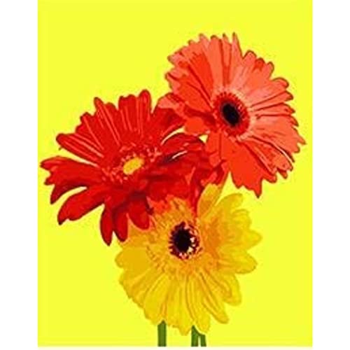 YSCOLOR Malen Nach Zahlen Für Erwachsene, Kinder, Anfänger, Gerbera-Blumen-Acryl-Malset, Malen Nach Zahlen Auf Leinwand, Zeichnen, Lackieren 40X50cm von YSCOLOR