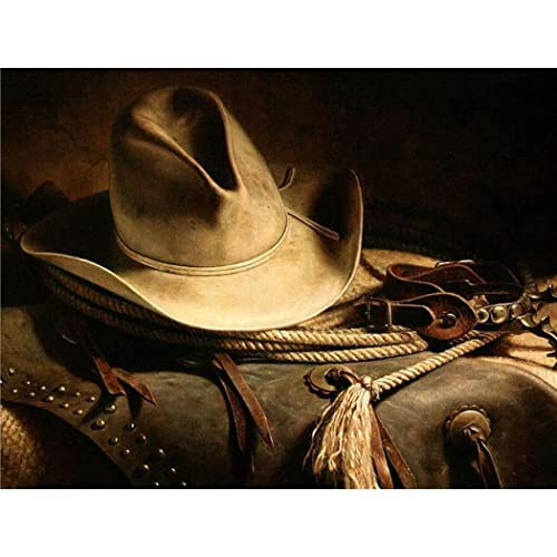 YSCOLOR Diamant Painting 5D Diamant Malerei Kits Für Erwachsene Und Kinder Cowboy Full Drill Round Diamond Art 30x40cm von YSCOLOR