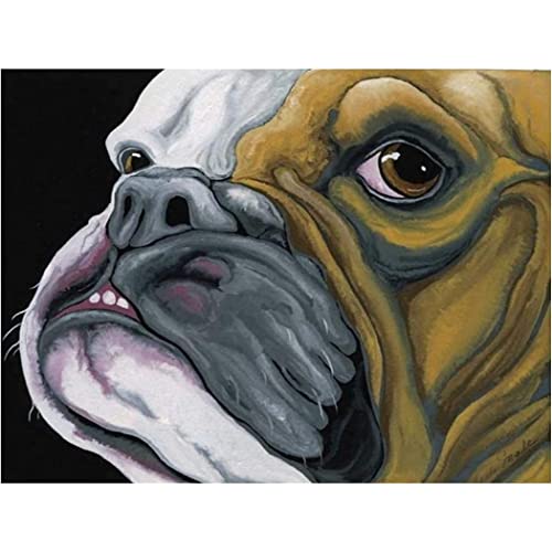 YSCOLOR Diamant Painting 5D Diamant Malerei Kits Für Erwachsene Und Kinder Englische Bulldogge Full Drill Round Diamond Art Z356 30x40cm von YSCOLOR