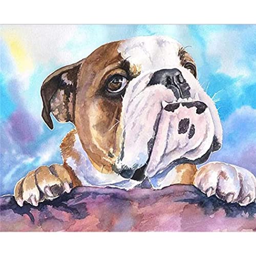 YSCOLOR Diamant Painting 5D Diamant Malerei Kits Für Erwachsene Und Kinder Englische Bulldogge Full Drill Round Diamond Art Z676 30x40cm von YSCOLOR