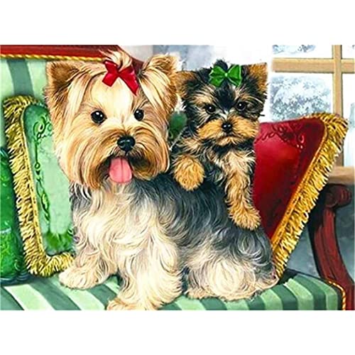 YSCOLOR Diamant Painting 5D Diamant Malerei Kits Yorkshire Terrier Diy Diamond Art Kits Für Erwachsene Full Drill Strass Stickerei Bilder Z2334 30x40cm von YSCOLOR