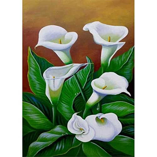 YSCOLOR Diamant Painting Calla Lily Flowers 5D Diamant Malerei Kits Full Drill Diy Diamond Art Stitch 30x40cm von YSCOLOR