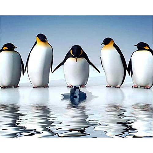 YSCOLOR Diamant Painting Diamant Malerei Kits Für Erwachsene Tier Pinguin 5D Diy By Numbers Full Drill Diamond Art Embroidery 30x40cm von YSCOLOR