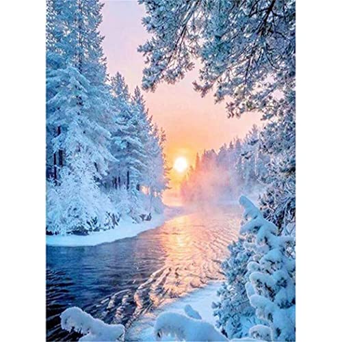 YSCOLOR Diamant Painting Diamantstickerei Diy 5D Diamant Malerei Kits Winter Wald Wasser Für Kinder Erwachsene Full Drill Strass Stickerei Diamond Art Gift 30x40cm von YSCOLOR