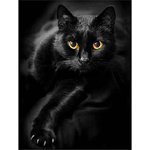 YSCOLOR Diamant Painting Diy 5D Diamant Malerei Kits Für Erwachsene Black Cat Full Round Drill Bilder Diamond Art Crafts Canvas Home Decor 30x40cm von YSCOLOR