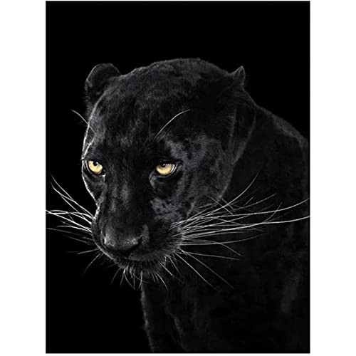 YSCOLOR Diamant Painting Diy 5D Diamant Malerei Kits Für Erwachsene Black Panther Full Round Drill Bilder Diamond Art Crafts Canvas Home Decor 30x40cm von YSCOLOR