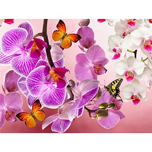 YSCOLOR Diamant Painting Diy 5D Diamant Malerei Kits Für Kinder Erwachsene Schmetterlings Und Orchideen Kit Full Round Drill Diamond Art Kits 30x40cm von YSCOLOR