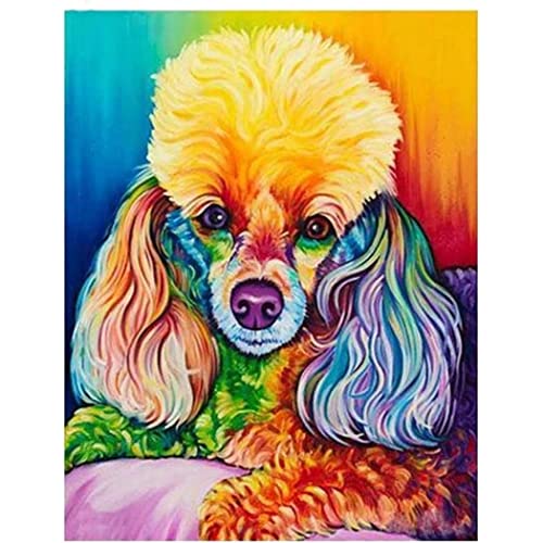 YSCOLOR Diamant Painting Diy 5D Diamond Art Kits Für Erwachsene Anfänger Vollbohrer Pudel Hund Diamant Malerei Diamantstickerei 30x40cm von YSCOLOR