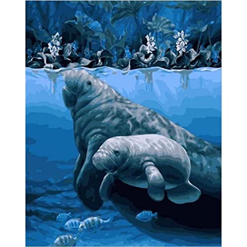 YSCOLOR Diamant Painting Manatee Diamant Malerei By Numbers 5D Vollrunde Unterwasserwelt Für Anfänger Ocean World Diamond Pinting Kits Für Erwachsene 30x40cm von YSCOLOR