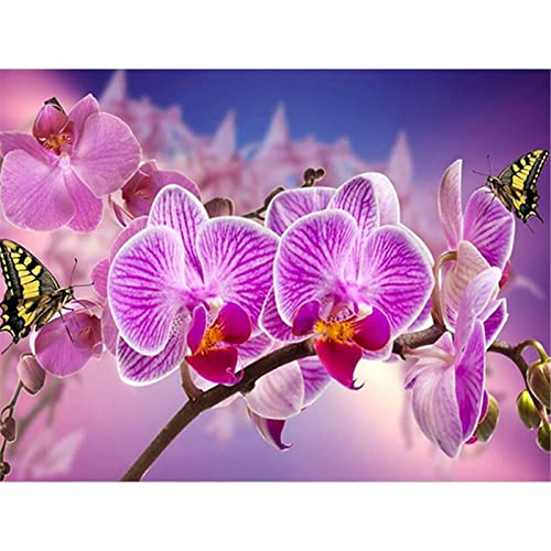 YSCOLOR Diamant Painting Rosa Blume Runde Volle 5D Diamant Stickerei Diamant Orchidee Schmetterling Bild Von Strass Kreuzstich Kits Diamant Mosaik 30X40Cm von YSCOLOR