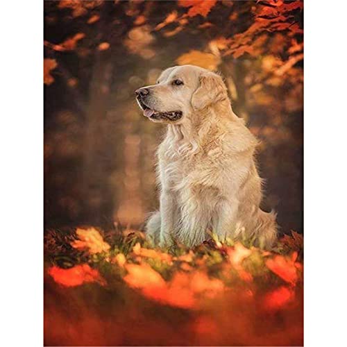 YSCOLOR Diamond Painting Stickerei Diy Diamant Malerei Hund und Tote Blätter Diamant Mosaik Komplett Rund 5D Diamant Malerei Golden Retriever Rahmenlos 30 x 40 cm von YSCOLOR