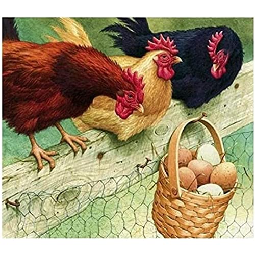 YSCOLOR Kunst Erwachsene Kinder Malen Nach Zahlen Kits Huhn Hahn Henne Farm Diy Ölgemälde Für Anfänger 40X50cm von YSCOLOR