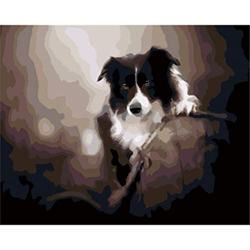 YSCOLOR Malen Nach Zahlen Kits Border Collie Malen Nach Zahlen Für Erwachsene Leinwand Diy Acrylmalerei Für Kinder Und Anfänger Mit Pinseln Farbe Nach Zahl 40X50cm von YSCOLOR