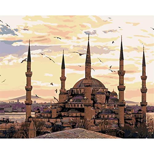 YSDECOR Türkei Istanbul Handgemachte Farbe Hochwertige Leinwand Schöne Malen Nach Zahlen Überraschungsgeschenk 40X50cm von YSDECOR