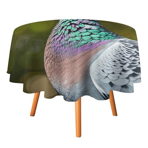 YTLKGFP Runde Tischdecke, Polyester, 178 cm, Motiv: graue Taubenmuster, dekorative Tischdecke für Esstisch, Buffet, Partys und Camping von YTLKGFP