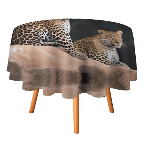 YTLKGFP Runde Tischdecke, Polyester, afrikanischer Leopard auf Felsen, bedruckt, dekorative Tischdecke für Esstisch, Buffet, Partys und Camping, 178 cm von YTLKGFP