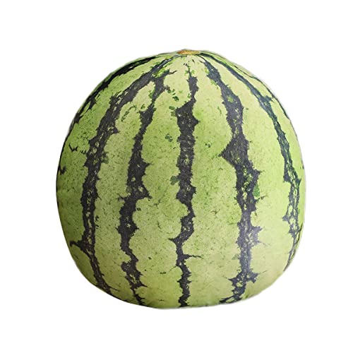 YUBEIER Niedliche, Mit Früchten Gefüllte Kissen, Kinderkissen, Gefüllte Wassermelonen-Plüschtiere, Superweiche Mädchenkissen, Ananas-Durian-Kissen, Sitzcouch-Ornamente(Watermelon) von YUBEIER