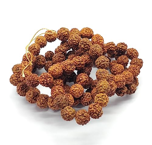 Lord of Shiva Rudraksha Fancy Round Shape Beads,Natural Lord of Shiva Rudraksha Edelsteinperlen, 33 cm Stranggröße 10 mm Perlen, für Ohrringe Seltene Edelsteinperlen Strang Schmuckherstellung von YUGNA