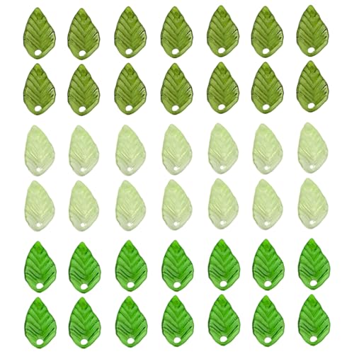Multistyle Green Blatt Anhänger Klare Acrylperlen Schmuckversorgungen Für Handgefertigte Schmuckdesignprojekte Multistyle Green Blatt Anhänger Klare Acrylperlen Schmuckversorgungen Für Handgefertigte Schmuckdesignprojekte von YUGSHNKFC