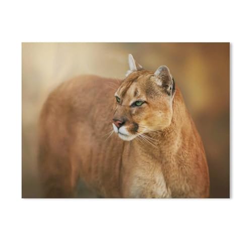 YYHMKBYY 5D Diamond Painting，Puma, anvisierender Blick aus grünen Augen，DIY Mosaik Kreuzstich Diamant Malerei Set Handwerk Geschenk Wohnkultur（40x50cm）-C80 von YYHMKBYY