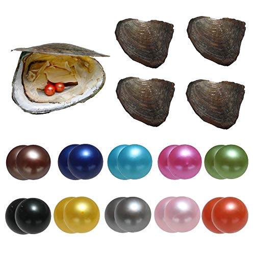 Zuchtperlen in Austern, Perlen-Austern mit Zwillings-Perlen im Inneren, Wunschperle, Austern-Jubiläumsdekoration für Frauen, 10 Stück/Packung (7–8 mm) von YYW
