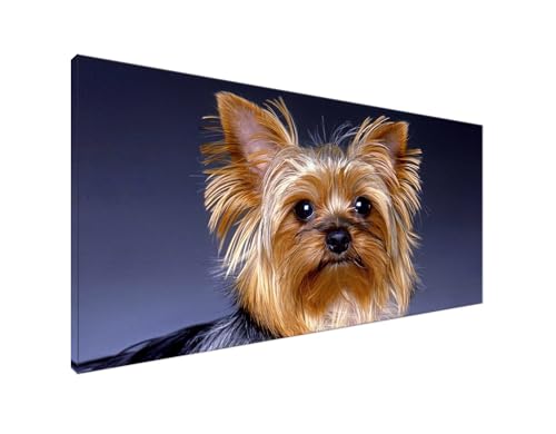 Diamond Painting Hund Diamant Painting Bilder Karikatur Basteln Erwachsene und Anfänger, Diamond Painting XXL 100x200cm Diamant Art Painting, DIY Mosaikherstellung Bastelset für Zimmer Deko Y2-593 von Yagagse