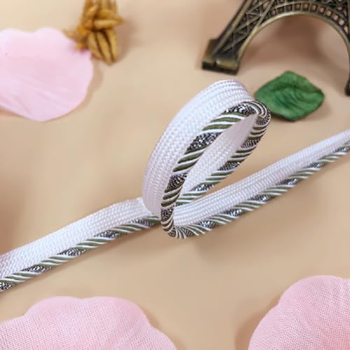 Yalulu 20 Yards Polyester Paspelband, 10mm breite Flaches Kordelrand-Paspelband Zum Nähen von Kleidern Und Kostümen Heimtextilien Dekoration (H) von Yalulu